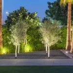 Irrigation System Expertise from a Qualified Landscape Contractor