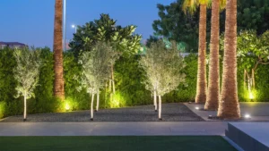 Irrigation System Expertise from a Qualified Landscape Contractor